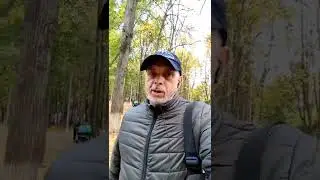Правило зелёной ручки или как концентрироваться на сделанном правильно.