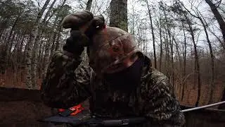 Day two of trying  to harvest any type of deer(buck or big doe)