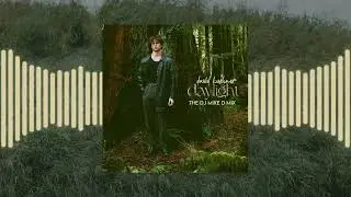 David Kushner &dagger; Daylight &dagger; The Dj Mike D Mix