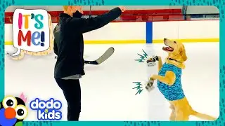 Ice Skating Dog Can&rsquo;t Go To The Rink Anymore! | Dodo Kids | It&rsquo;s Me