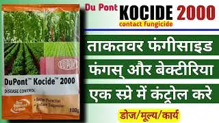 Kocide | Kocide fungicide | Kocide 2000 | Kocide fungicide uses in hindi