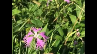 眠る前の囁き雑談