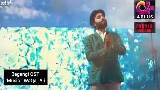Begangi | Full | OST | Zuhaib Hassan | Waqar Ali | Aplus