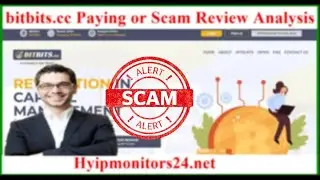bitbits.cc Paying or Scam Review Analysis