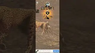 #gaming #games #videogame #music #tiger #wildhunt