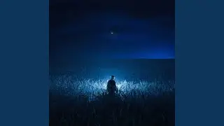 tears in rain
