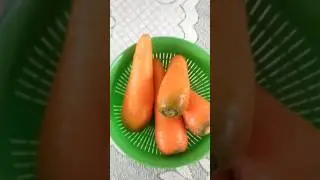 Traditional Carrot Halwa Recipe | Sweet Winter Magic #shorts #food #recipe #tasty #short #cooking