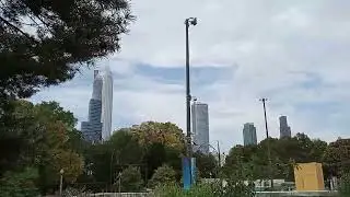 #sheddaquarium