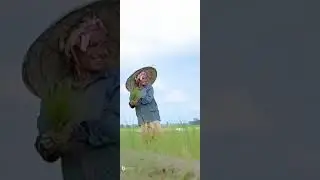 assamese cultural farmer creative