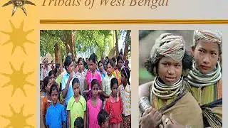 Status of Tribal Districts in West Bengal, India