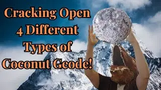 Cracking Open Four Different Types of 