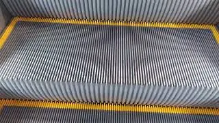 Some Kone Escalators at Cribbs Causeway in Bristol