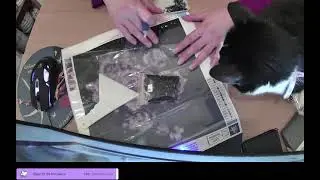 2022-11-09 -  On fait un peu de Diamond Painting