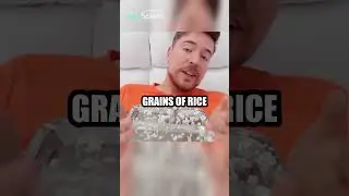 Counting grains of rice in a food challenge. #foodchallenge #ricecounting #mealchallenge