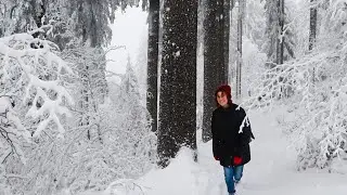 MYSTICAL WINTER FOREST | snowy walk through German winter wonderland