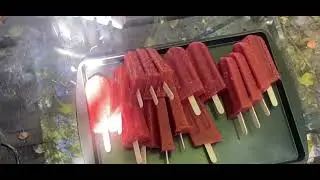 TropiKiwi is My Newest Flavor | Customers Love It!!!