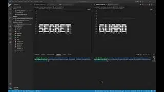 SecretGuard Software to identify Security leaks like Passwords/Api-Keys