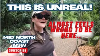 EP60 - ALMOST FEELS WRONG TO BE HERE / Exploring the NSW Mid North Coast! #travelcouple #dogfriendly