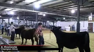Benton County Fair Cattle Show