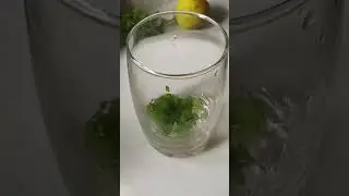 🍸🌿Mint Mojito✨|#viral#trending#youtube#youtubeshorts#shorts#mojito#fyp#explorepage#newreels#cooking