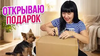 Мой подарок на День Рождения из Украины