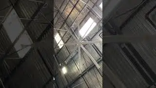 Giant Ceiling Fan Spinning #fans #sensoryvideo