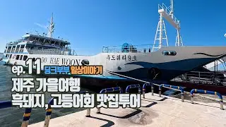 ep11 제주가을여행 흑돼지 고등어회 맛집투어 | 성산 우도 | 휘닉스아일랜드 섭지코지 | 딩크부부 | 브이로그 | ai음악 노래 | 구독자이벤트