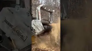 Eating Tree with Drum Mulcher