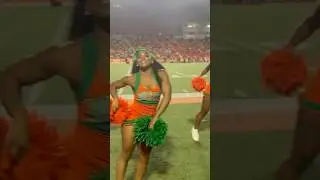 FAMU Cheer 🧡💚🐍