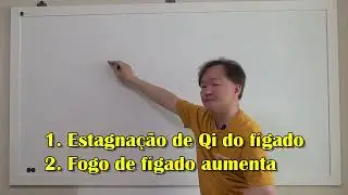 [TAI LING] Estag do fígado, Fogo de fígado - Teoria Básica Medicina Chinesa (24) - Prof. Woosen Ur