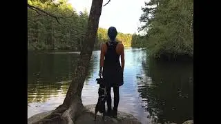Upper Thetis Lake Loop Project 2020