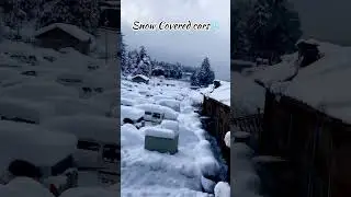 Scary!😳😱 Our cars get stuck in heavy snow #travel #explore #shorts #viral