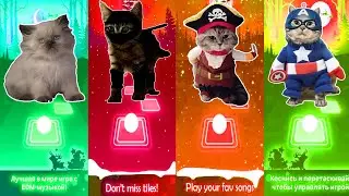 Tiles Hop - Cat Vs  Assassin Cat Vs Pirate Cat Vs Superhero Cat