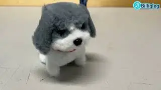 S&oslash;d hund der kan g&aring; og g&oslash;
