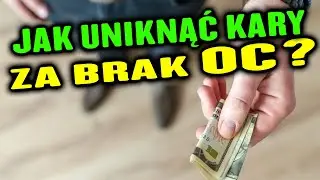 Jak uniknąć kary (5600 zł) za brak ubezpieczenia OC?