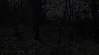 0 Peninsula Drive Lake Arrowhead, CA 92352 - Land - Real Estate - For Sale