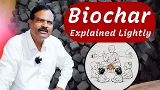 Biochar Explained Lightly 😂 | Learn with Easy Real-Life Examples