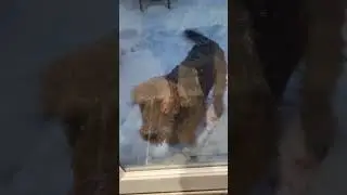 AI again,  except from my longer original video. Snow and fun.