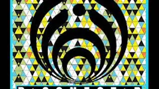 BASSNECTAR SELECTED  mix 2020