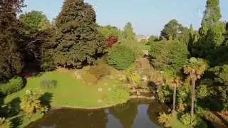 Sheffield Park and Gardens