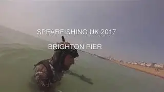 SPEARFISHING BRIGHTON