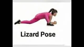 Belly Fat Exercise 