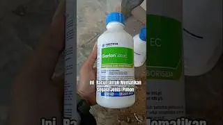 Racun Untuk Mematikan segala Jenis Pohon Paling Ampuh #garlon #mematikanpohon #Racunpohon #pertanian