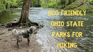 Dog Friendly Ohio State Parks for Hiking