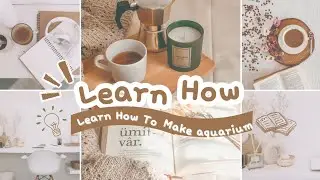 Small Space, Big Splash: How to Make a Mini Aquarium on a Budget!