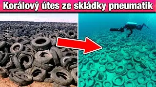 Top 5 pokusů o z&aacute;chranu př&iacute;rody, kter&eacute; se nepovedly