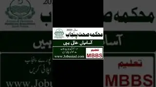 Primary and Secondary Healthcare Department Punjab Jobs for Male and Female