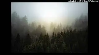 Trap TypeBeat
