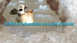 A Micro Adventure| Is Lake Ontario the Ultimate Slushie Machine  #nature #greatlakes