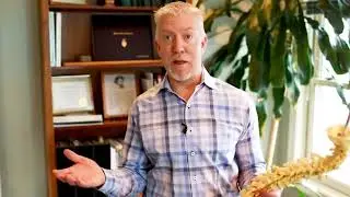 Chiropractic Excellence in North Hampton | Arsenault Family Chiropractic Center